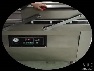 DZ-500/2SAH Swing Type Vacuum Packing Machine